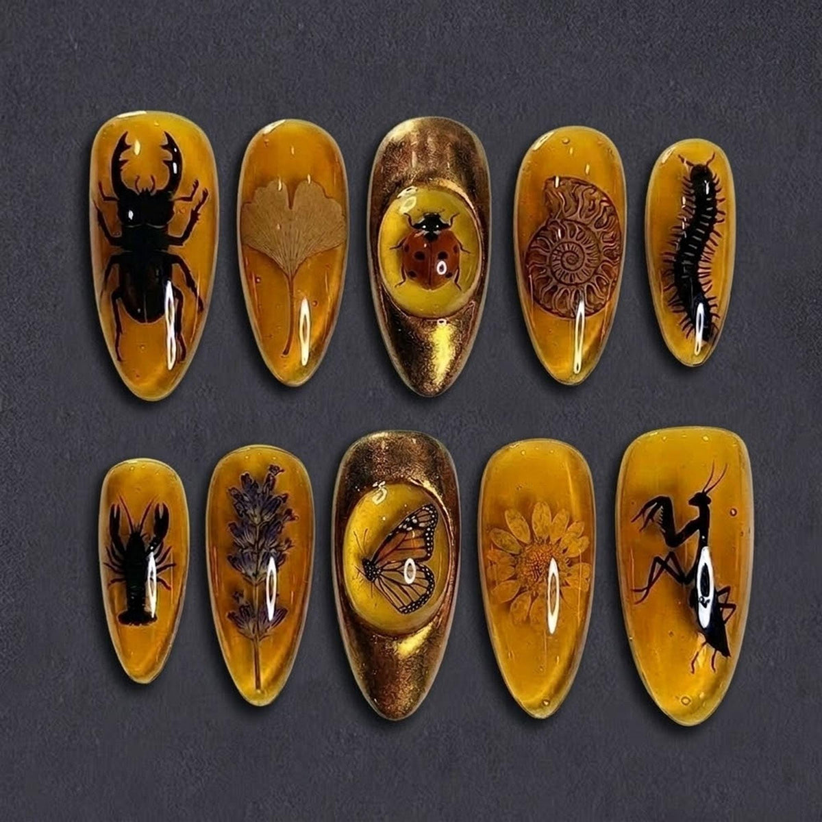Golden Amber Insect and Fossil Nail Set with Beetles, Butterfly and Botanical Motifs