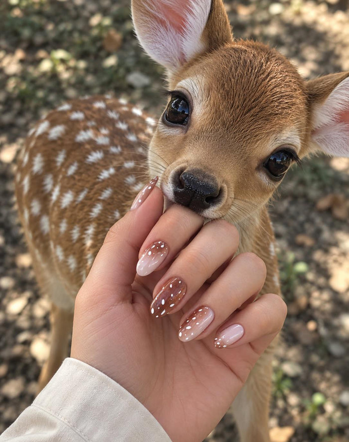 Milky Caramel Fawn Spot Ombre Press On Nails