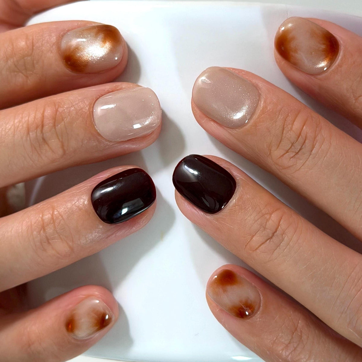 Taupe Shimmer and Amber Tortoiseshell Press On Nails
