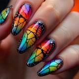 Rainbow Butterfly Wing