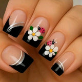 Black Daisy French