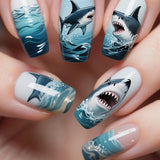 Blue Shark