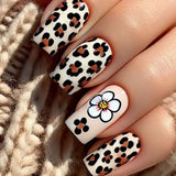 Beige Leopard Daisy