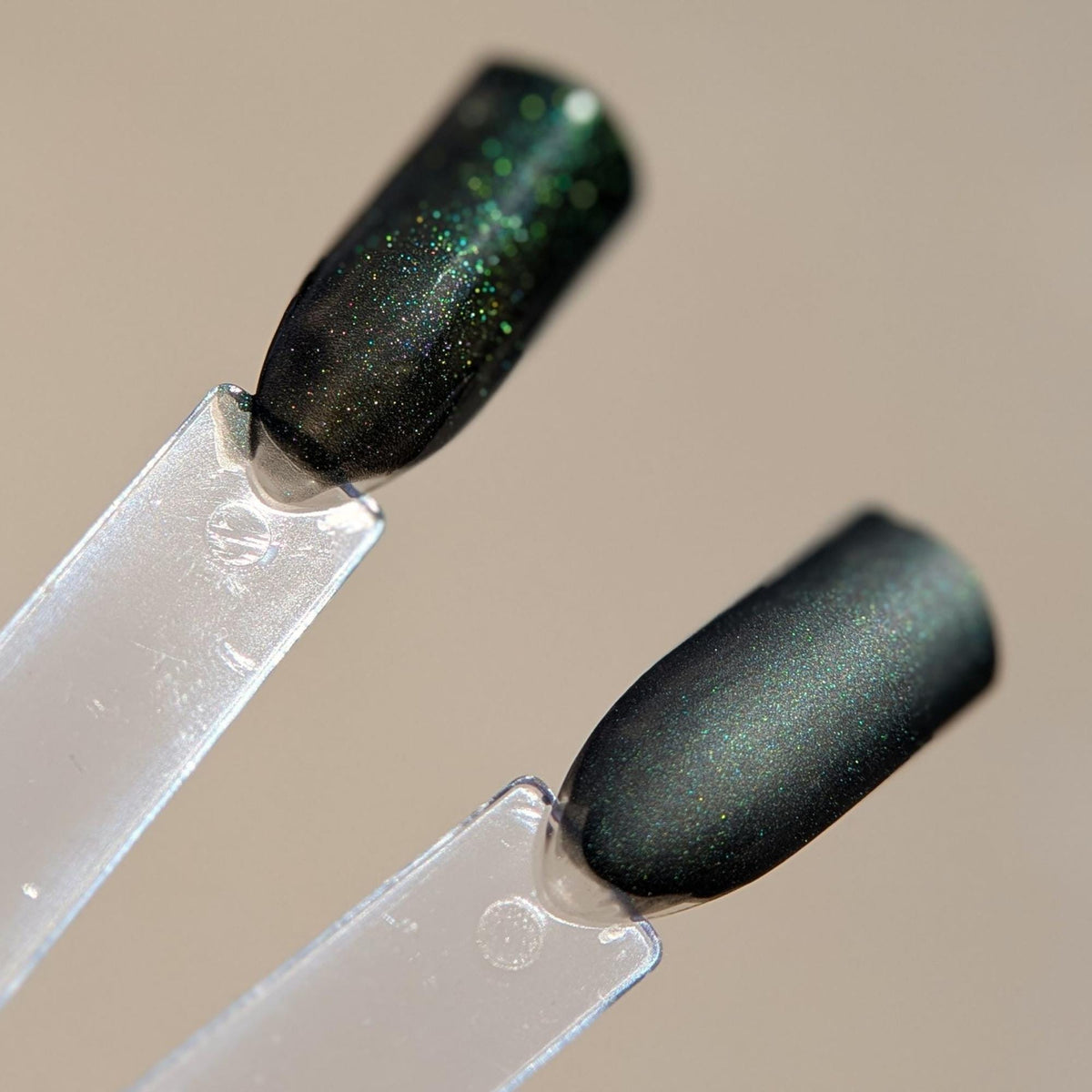 Blackened Green Holo Shimmer Press On Nails for Fall and Winter