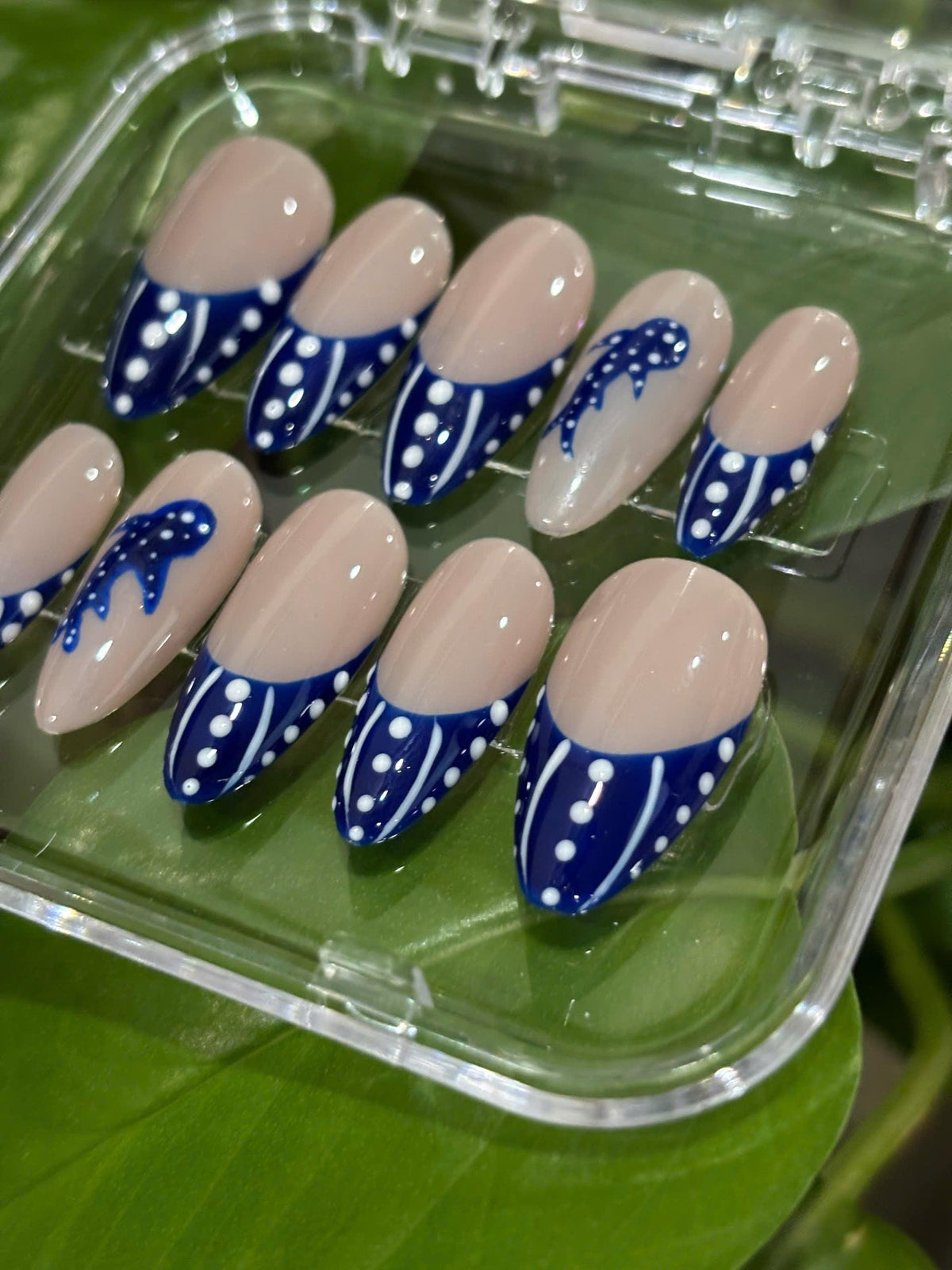 Whale Shark French Tip Nail Set With Navy Blue Dots
